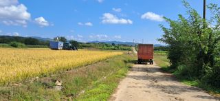 이복길님의 벼 · 영농일지 작성글 사진