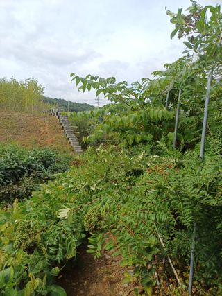 표고버섯18854님의 기타작물 · 영농일지 작성글 사진