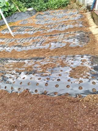 김선두님의 기타작물 · 영농일지 작성글 사진