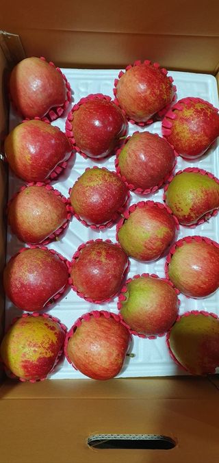 산꼭대기사과밭님의 기타작물 · 영농일지 작성글 사진