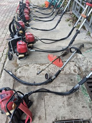 양파15542님의 기타작물 · 영농일지 작성글 사진