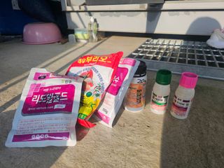 고영미님의 기타작물 · 영농일지 작성글 사진