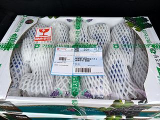 금강산푸른농원(운악님의 기타작물 · 영농일지 작성글 사진