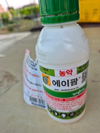 김한수님의 블루베리 · 영농일지 작성글 사진