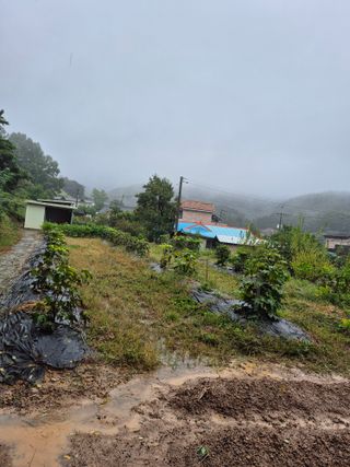나오리농장님의 토마토 · 영농일지 작성글 사진