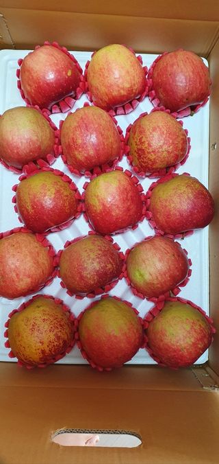 산꼭대기사과밭님의 기타작물 · 영농일지 작성글 사진