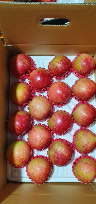 산꼭대기사과밭님의 기타작물 · 영농일지 작성글 사진