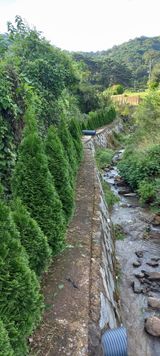 팜모닝 기타작물·영농일지 게시글 이미지