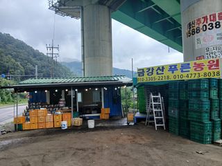 금강산푸른농원(운악님의 기타작물 · 영농일지 작성글 사진