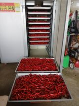 팜모닝 기타작물·영농일지 게시글 이미지