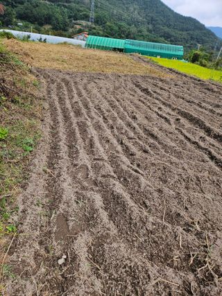 김해열님의 기타작물 · 영농일지 작성글 사진