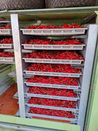 김명진입니다님의 기타작물 · 영농일지 작성글 사진