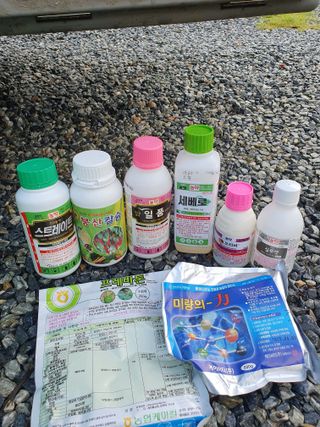 남기탁 님의 고추 · 영농일지 작성글 사진