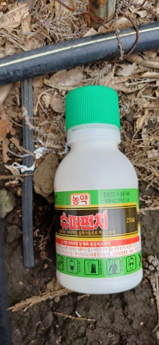 보물섬남자님의 기타작물 · 영농일지 작성글 사진