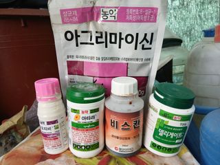 한골머스마님의 기타작물 · 영농일지 작성글 사진