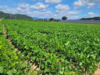 김춘성님의 기타작물 · 영농일지 작성글 사진