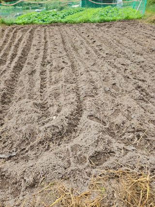 김해열님의 기타작물 · 영농일지 작성글 사진