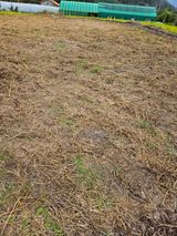 팜모닝 기타작물·영농일지 게시글 이미지