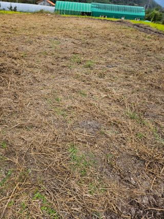 김해열님의 기타작물 · 영농일지 작성글 사진