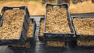 최경숙님의 기타작물 · 영농일지 작성글 사진