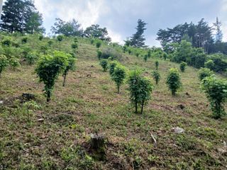 인생은 소풍처럼님의 작성글 사진