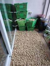 팜모닝 기타작물·영농일지 게시글 이미지