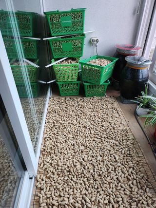 강태현님의 기타작물 · 영농일지 작성글 사진