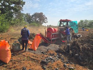 땅콩.감자.5734님의 기타작물 · 영농일지 작성글 사진