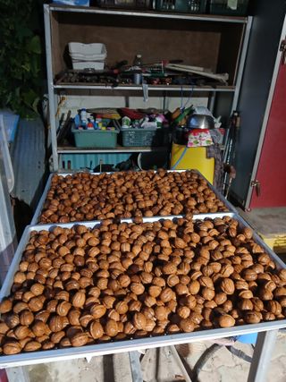 이종득님의 기타작물 · 영농일지 작성글 사진