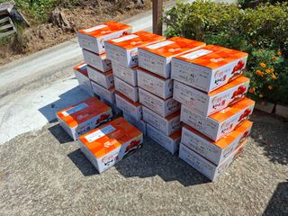 헤이쥬회원님의 감 · 영농일지 작성글 사진