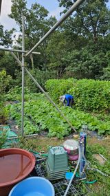 팜모닝 기타작물·영농일지 게시글 이미지