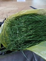 팜모닝 기타작물·영농일지 게시글 이미지