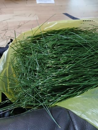 오임순님의 기타작물 · 영농일지 작성글 사진