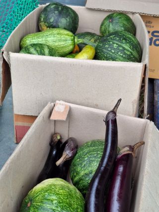 형남영님의 기타작물 · 영농일지 작성글 사진