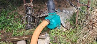 이복길님의 벼 · 영농일지 작성글 사진