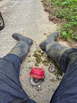 팜모닝 기타작물·영농일지 게시글 이미지