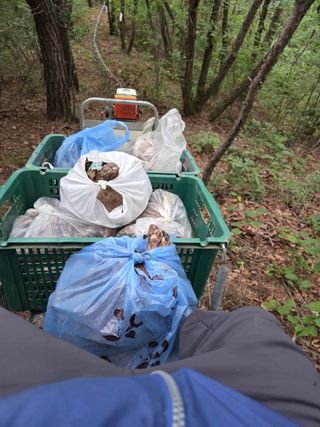 무주설천면 반딧팝님의 기타작물 · 영농일지 작성글 사진