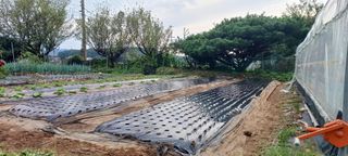 홍사용님의 기타작물 · 영농일지 작성글 사진