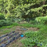 팜모닝 배추·영농일지 게시글 이미지