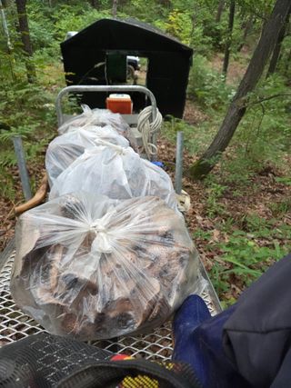 무주설천면 반딧팝님의 기타작물 · 영농일지 작성글 사진