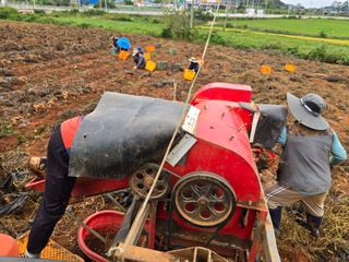 땅콩.감자.5734님의 기타작물 · 영농일지 작성글 사진