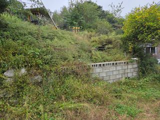 김윤회님의 호박 · 영농일지 작성글 사진