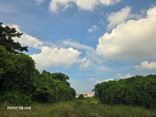 Captain김상곤님의 귤 · 영농일지 작성글 사진