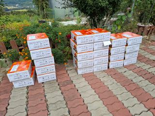 헤이쥬회원님의 감 · 영농일지 작성글 사진