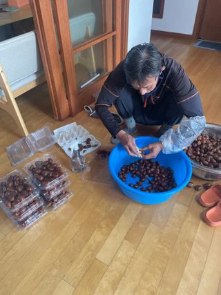 김윤회님의 호박 · 영농일지 작성글 사진