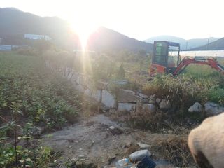 正覺님의 기타작물 · 영농일지 작성글 사진