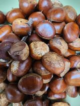 팜모닝 기타작물·영농일지 게시글 이미지