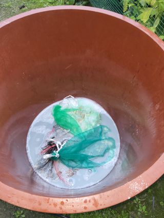 김성열님의 마늘 · 영농일지 작성글 사진