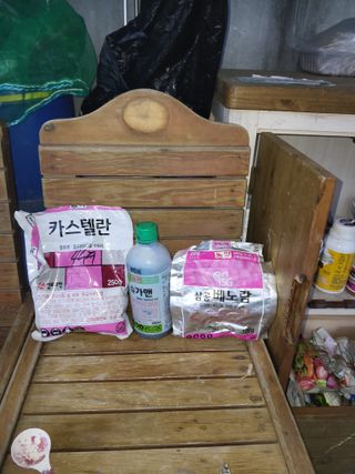 김성열님의 마늘 · 영농일지 작성글 사진