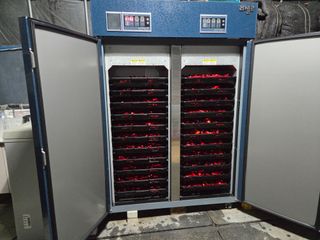 장두학님의 기타작물 · 영농일지 작성글 사진